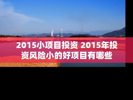 2015小项目投资 2015年投资风险小的好项目有哪些
