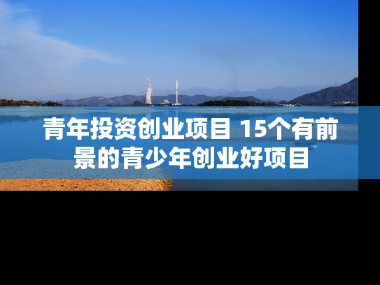 青年投资创业项目 15个有前景的青少年创业好项目