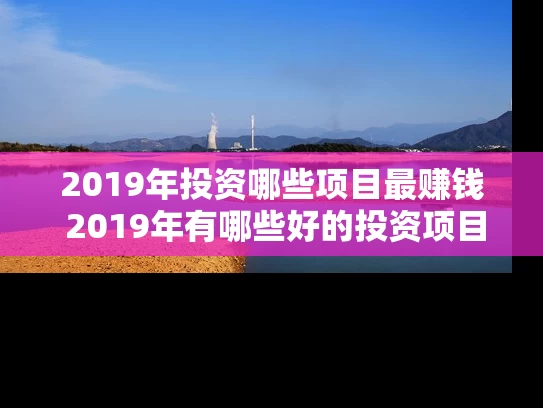 2019年投资哪些项目最赚钱 2019年有哪些好的投资项目