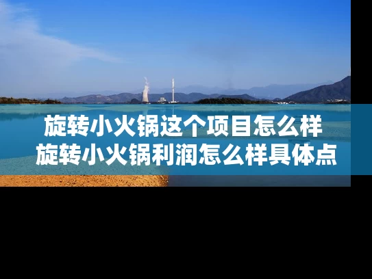 旋转小火锅这个项目怎么样 旋转小火锅利润怎么样具体点