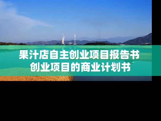 果汁店自主创业项目报告书 创业项目的商业计划书