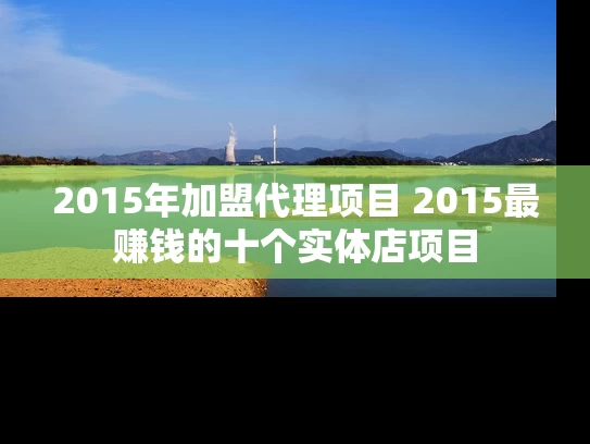2015年加盟代理项目 2015最赚钱的十个实体店项目