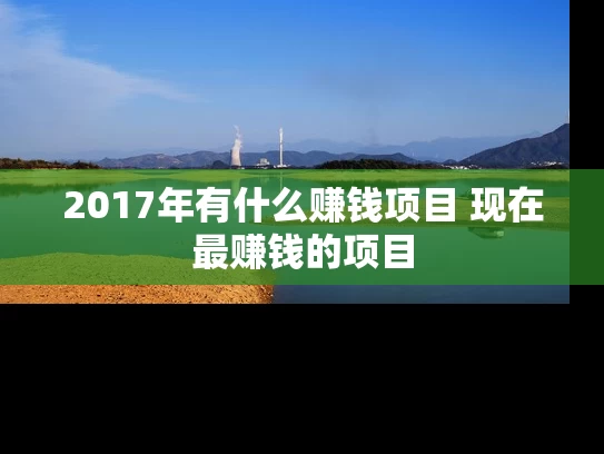 2017年有什么赚钱项目 现在最赚钱的项目