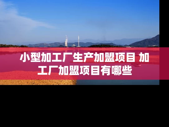 小型加工厂生产加盟项目 加工厂加盟项目有哪些