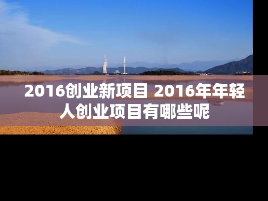 2016创业新项目 2016年年轻人创业项目有哪些呢