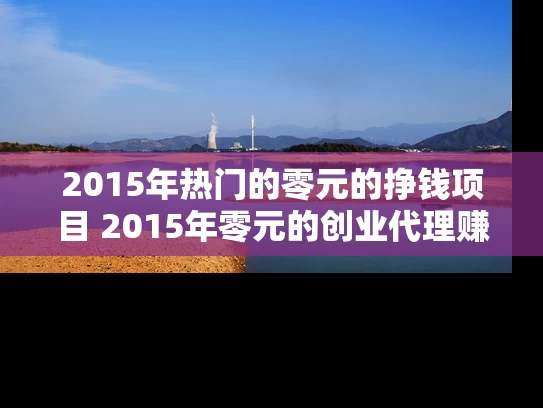 2015年热门的零元的挣钱项目 2015年零元的创业代理赚钱吗