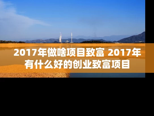 2017年做啥项目致富 2017年有什么好的创业致富项目