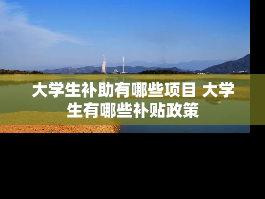 大学生补助有哪些项目 大学生有哪些补贴政策