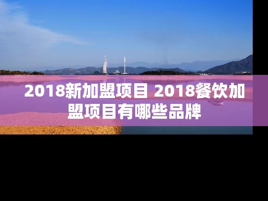 2018新加盟项目 2018餐饮加盟项目有哪些品牌