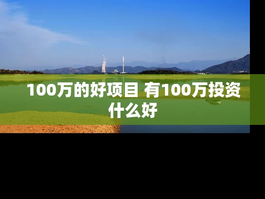 100万的好项目 有100万投资什么好