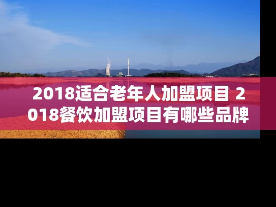2018适合老年人加盟项目 2018餐饮加盟项目有哪些品牌