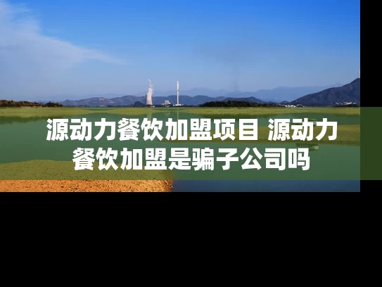 源动力餐饮加盟项目 源动力餐饮加盟是骗子公司吗