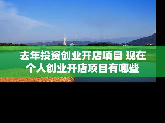 去年投资创业开店项目 现在个人创业开店项目有哪些