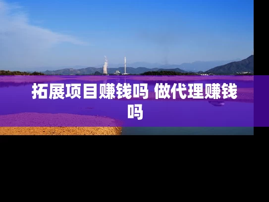 拓展项目赚钱吗 做代理赚钱吗