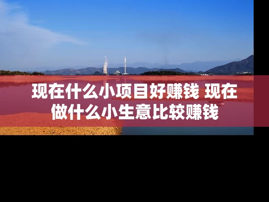 现在什么小项目好赚钱 现在做什么小生意比较赚钱