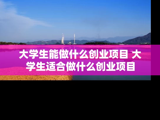 大学生能做什么创业项目 大学生适合做什么创业项目