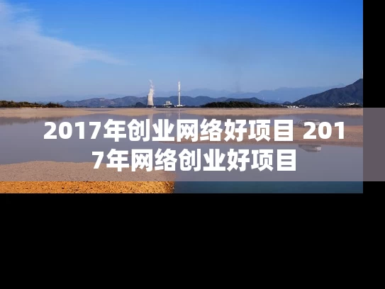2017年创业网络好项目 2017年网络创业好项目