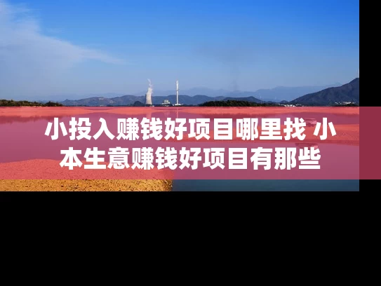 小投入赚钱好项目哪里找 小本生意赚钱好项目有那些