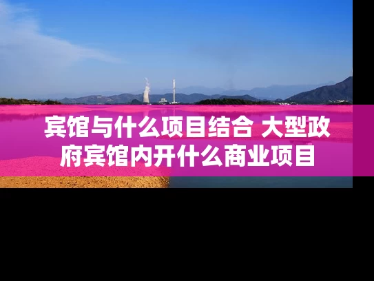 宾馆与什么项目结合 大型政府宾馆内开什么商业项目