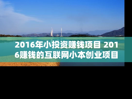 2016年小投资赚钱项目 2016赚钱的互联网小本创业项目有哪些 2016年小投资赚钱项目 2016赚钱的互联网小本创业项目有哪些
