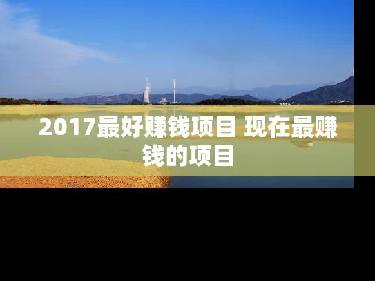 2017最好赚钱项目 现在最赚钱的项目
