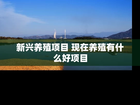 新兴养殖项目 现在养殖有什么好项目