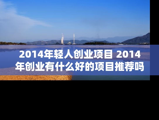 2014年轻人创业项目 2014年创业有什么好的项目推荐吗