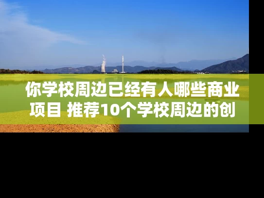 你学校周边已经有人哪些商业项目 推荐10个学校周边的创业项目