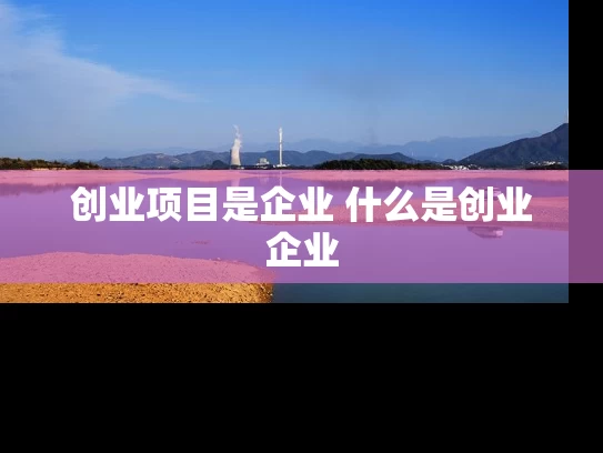 创业项目是企业 什么是创业企业