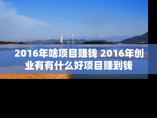 2016年啥项目赚钱 2016年创业有有什么好项目赚到钱
