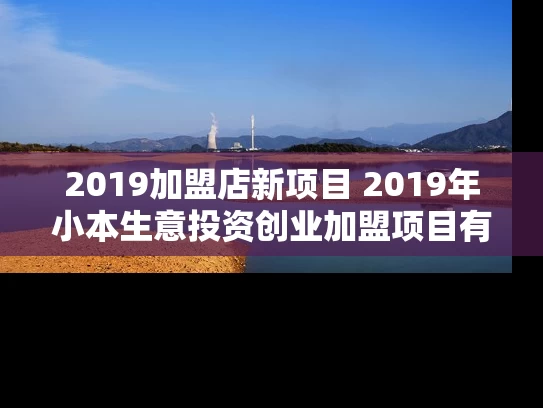 2019加盟店新项目 2019年小本生意投资创业加盟项目有哪些