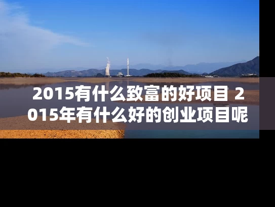 2015有什么致富的好项目 2015年有什么好的创业项目呢