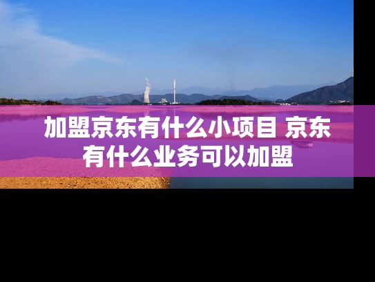 加盟京东有什么小项目 京东有什么业务可以加盟 加盟京东有什么小项目 京东有什么业务可以加盟