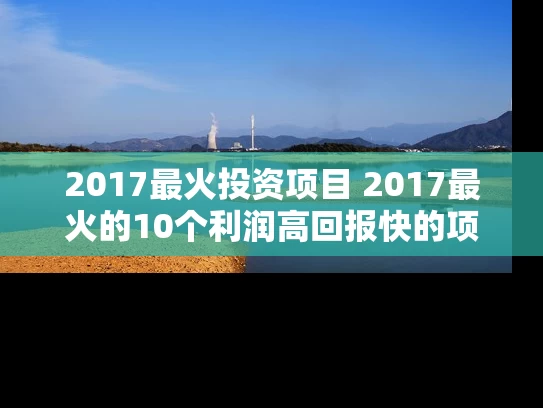2017最火投资项目 2017最火的10个利润高回报快的项目
