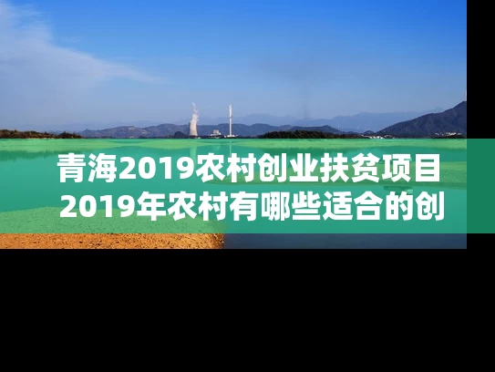 青海2019农村创业扶贫项目 2019年农村有哪些适合的创业项目
