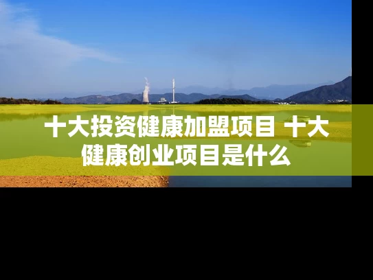 十大投资健康加盟项目 十大健康创业项目是什么 十大投资健康加盟项目 十大健康创业项目是什么