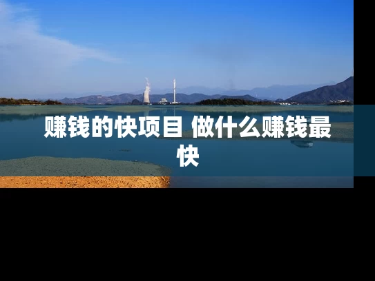 赚钱的快项目 做什么赚钱最快