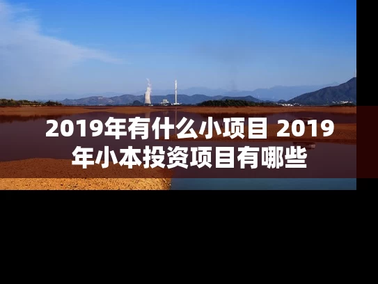 2019年有什么小项目 2019年小本投资项目有哪些