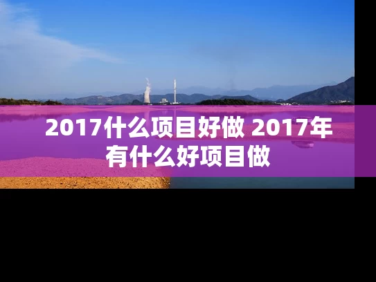 2017什么项目好做 2017年有什么好项目做
