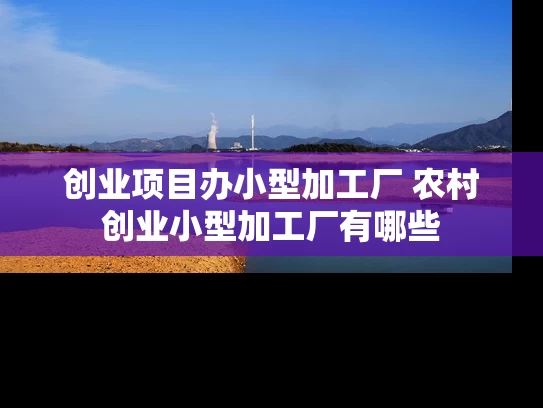 创业项目办小型加工厂 农村创业小型加工厂有哪些