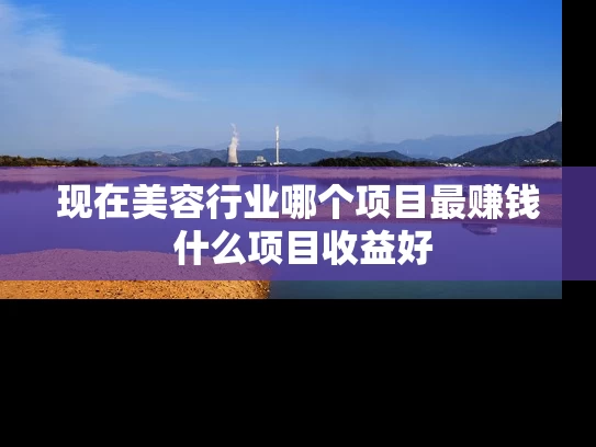 现在美容行业哪个项目最赚钱 什么项目收益好 现在美容行业哪个项目最赚钱 什么项目收益好