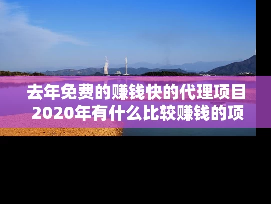 去年免费的赚钱快的代理项目 2020年有什么比较赚钱的项目