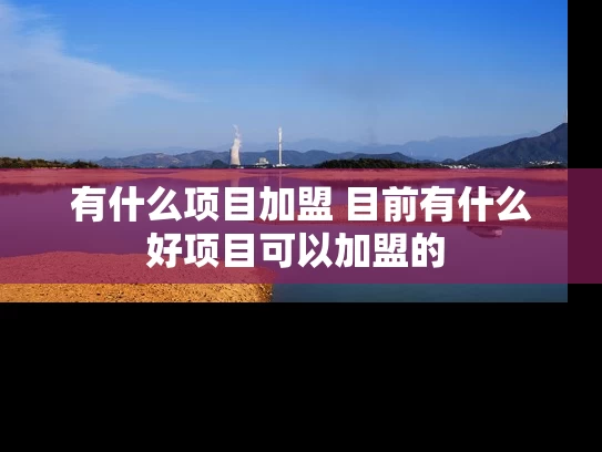 有什么项目加盟 目前有什么好项目可以加盟的 有什么项目加盟 目前有什么好项目可以加盟的