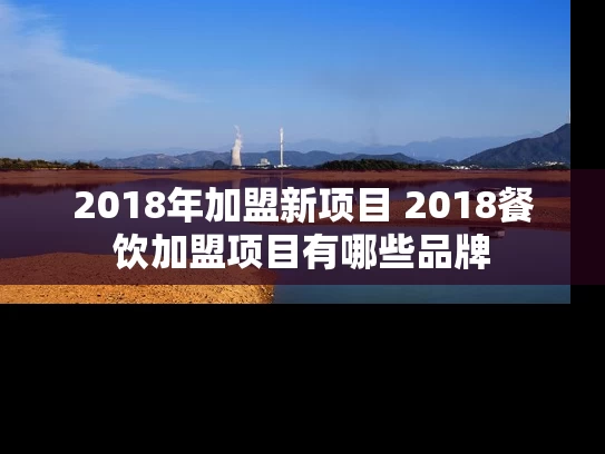 2018年加盟新项目 2018餐饮加盟项目有哪些品牌