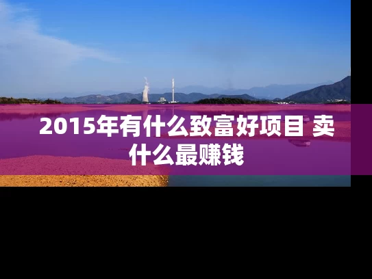2015年有什么致富好项目 卖什么最赚钱 2015年有什么致富好项目 卖什么最赚钱