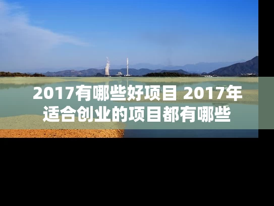 2017有哪些好项目 2017年适合创业的项目都有哪些