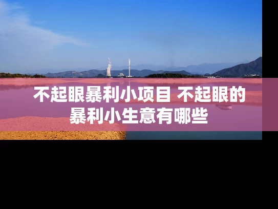 不起眼暴利小项目 不起眼的暴利小生意有哪些