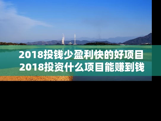 2018投钱少盈利快的好项目 2018投资什么项目能赚到钱 2018投钱少盈利快的好项目 2018投资什么项目能赚到钱