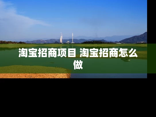 淘宝招商项目 淘宝招商怎么做 淘宝招商项目 淘宝招商怎么做