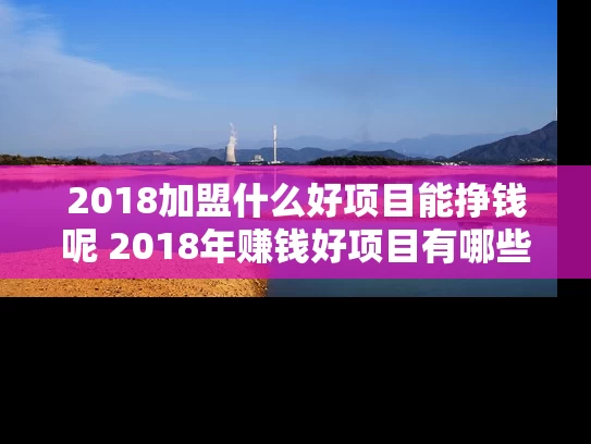 2018加盟什么好项目能挣钱呢 2018年赚钱好项目有哪些 2018加盟什么好项目能挣钱呢 2018年赚钱好项目有哪些